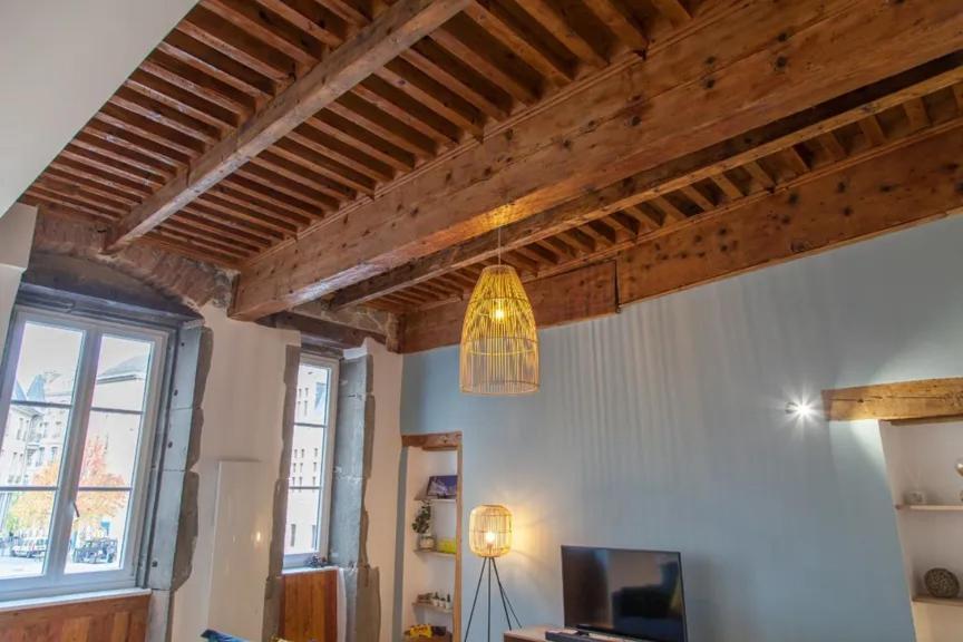 Lannexe Du Petit Palais Apartment Гренобъл Екстериор снимка
